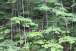 resIMG_20110628_6050.JPG